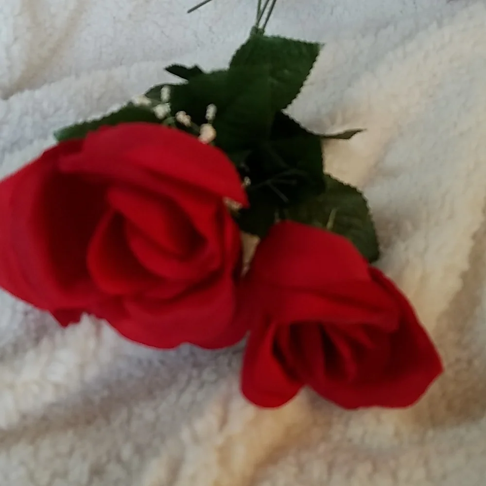 3 LONG STEM ROSES